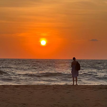 Honey Beach Hostel Negombo Kültér fotó