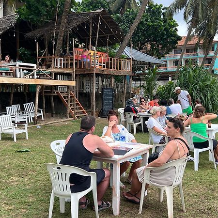 Honey Beach Hostel Negombo Kültér fotó