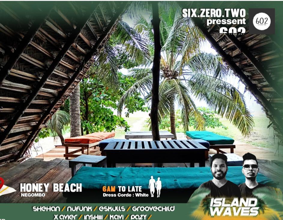 Honey Beach Hostel Negombo Kültér fotó